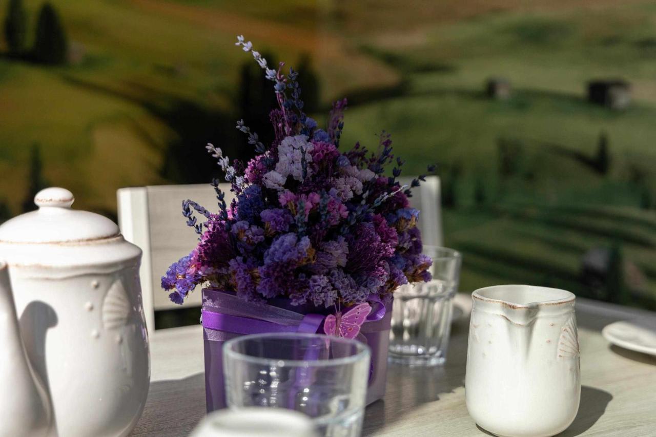 Violet House Your Place To Homestay